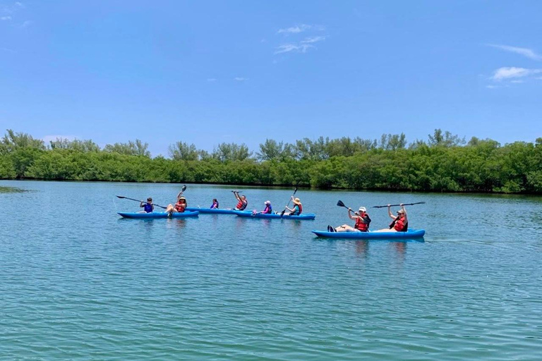 Miami: Manatee Season Paddleboard or Kayak Tour Miami: Manatee Season Single Kayak Tour