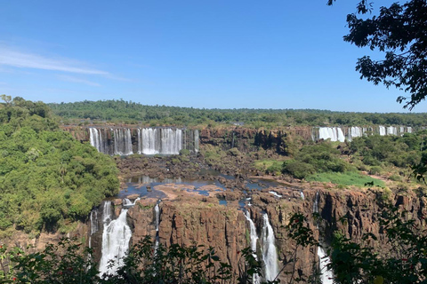 Foz do Iguaçu: Falls, Bird Park, & Three Borders Tour
