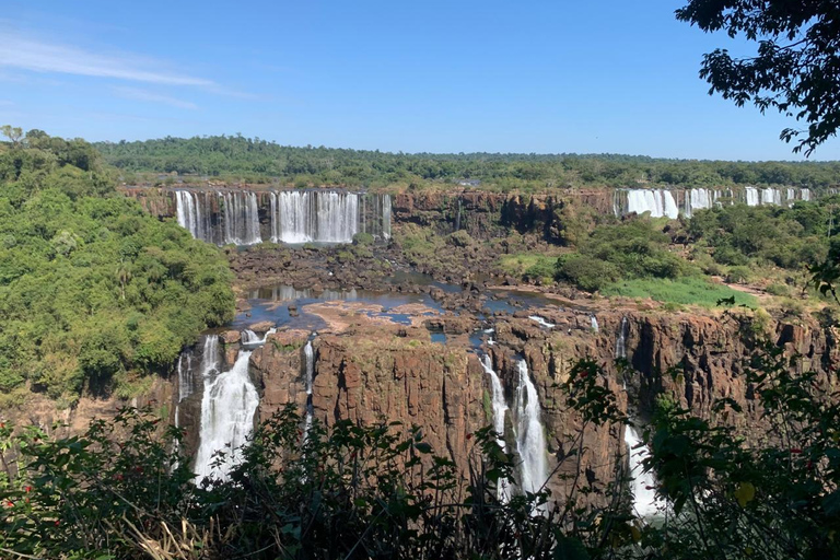 Foz do Iguaçu: Falls, Bird Park, & Three Borders Tour