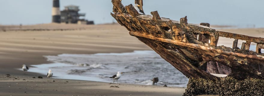 Désert du Namib : lacs salés roses, colonie de phoques et Moon Valley