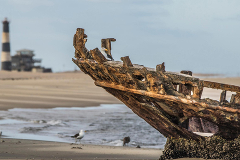 Namib Desert: Pink Salt Lakes, Seal Colony & Moon Valley