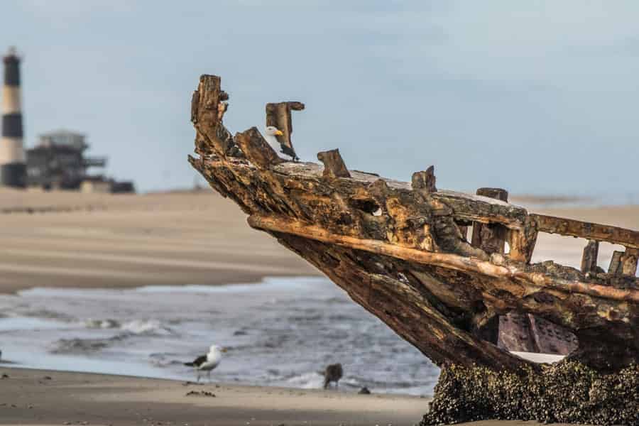Namibwüste: Rosa Salzseen, Robbenkolonie & Moon Valley. Foto: GetYourGuide Namibwüste: Rosa Salzseen, Robbenkolonie & Moon Valley. Foto: GetYourGuide