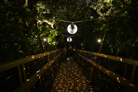 Porto: Serralves Em Luz Immersive Light Show Entry Ticket