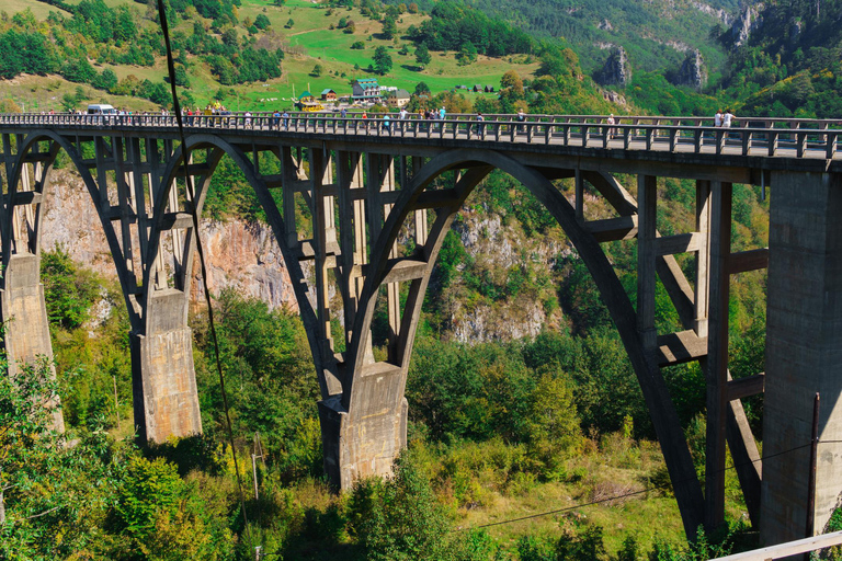 Montenegro: Durmitor, Black Lake, Tara, and Moraca Day Trip Group Tour from Tivat