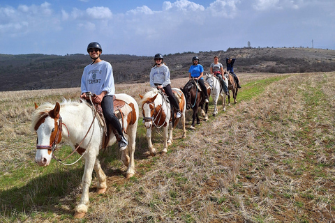 Sofia: Horse riding through the nearest paradise to Sofia