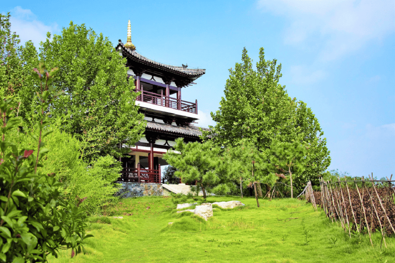 Dagvullende tour door Kyoto en Nara: UNESCO erfgoed hoogtepuntenVan Osaka 8:40