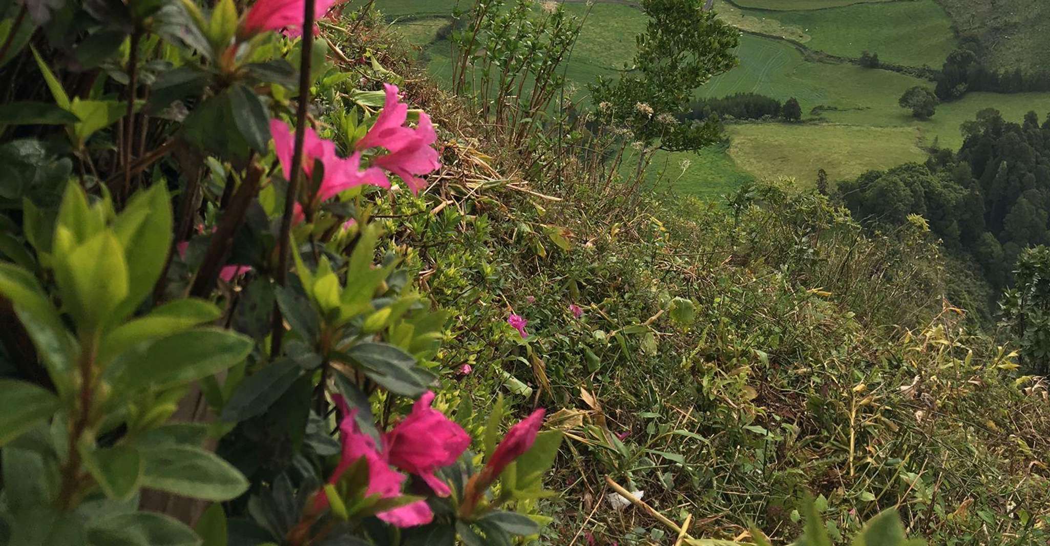 Фурнас (полный день) - Hizvo