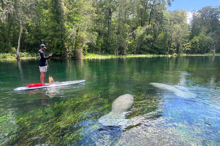 Silver Springs: Manatees, Monkeys, and Natural Spring Tour Luxury Wood Paddle Boards