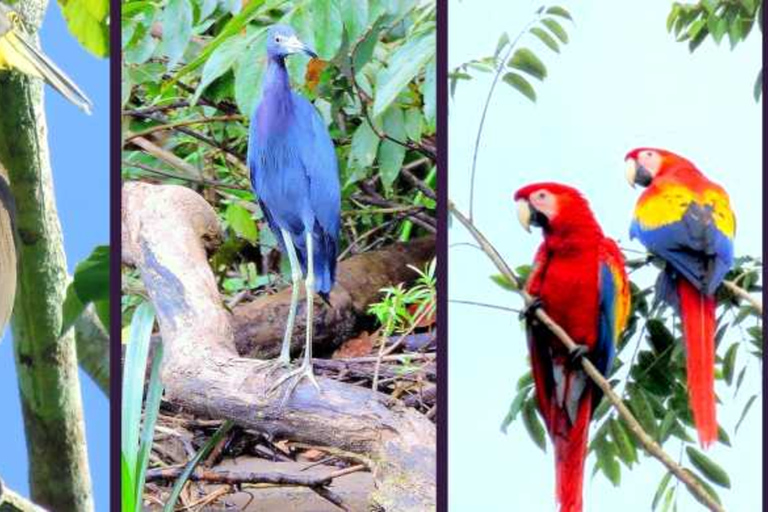 Tuxtla Gutierrez: Sumidero Canyon 5 Viewpoints Tour