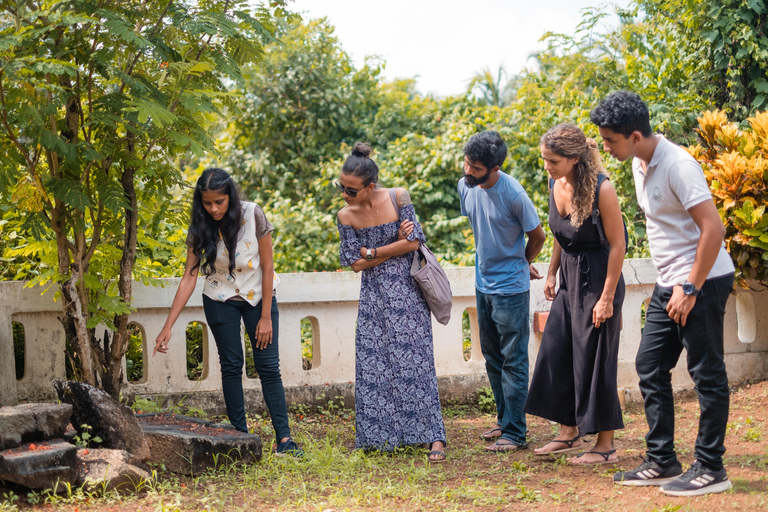 Goa Sud: Sentiero del patrimonio Chandor