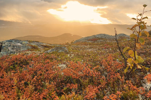Tromsø: Guided Hiking Tour with Roundtrip Transfers