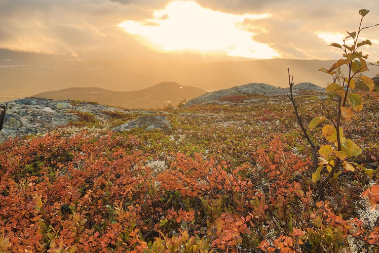 Tromsø: Guided Hiking Tour with Roundtrip Transfers