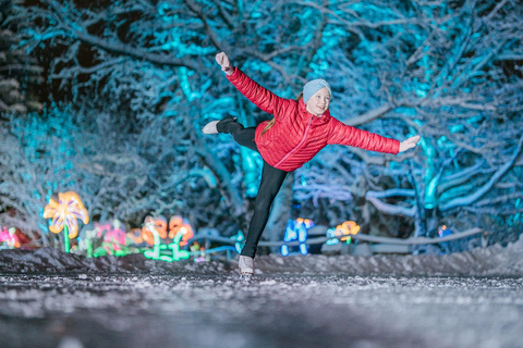 Arctic Fantasy Park Entry Ticket