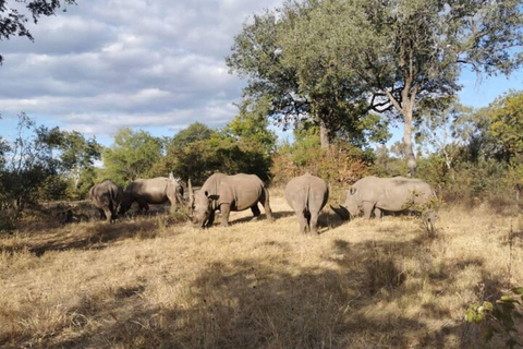 Livingstone: Chobe Safari, Crocodile viewing & Village Tour