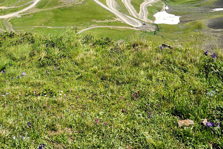 تبليسي: جولة جبال توشيتي لمدة 3 أيام مع وجبات الطعام والفندق