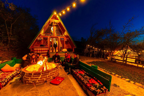 Bucharest: Transylvania Castles Tour with Dinner