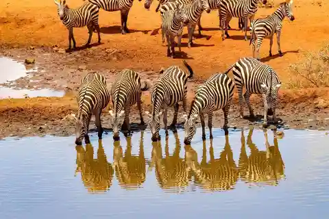 3 Days Nairobi to Amboseli to Tsavo East to Mombasa Safari