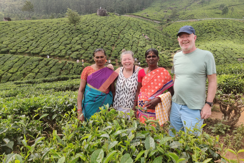 COLLINE E BACKWATERS DEL KERALA - 5 NOTTI / 6 GIORNI