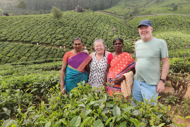 COLLINE E BACKWATERS DEL KERALA - 5 NOTTI / 6 GIORNI