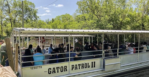 New Orleans: Bayou-Sumpftour und Oak Alley Plantation Tour