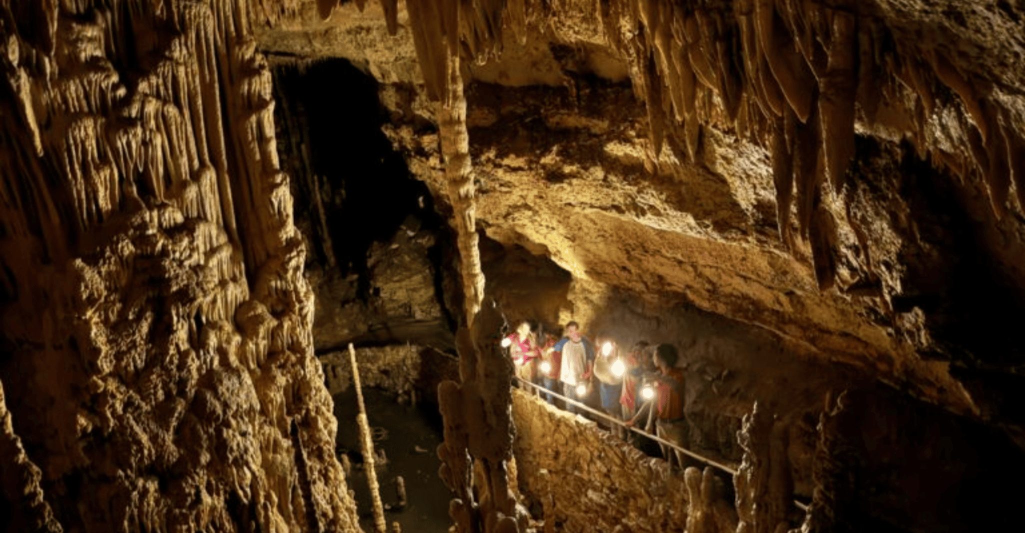 San Antonio: Discovery Tour at Natural Bridge Caverns photo 7