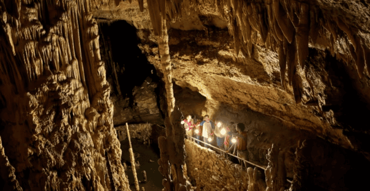 San Antonio: Discovery Tour at Natural Bridge Caverns photo 7