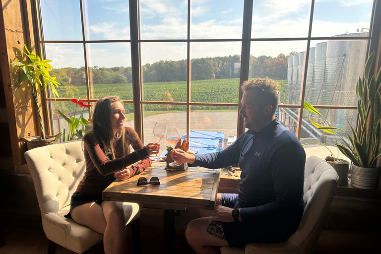 Niagara Benchlands: Ebike Tour with Wine Tastings