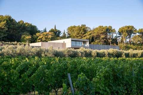 Vino, olio d&#039;oliva e villaggi panoramici della Provenza