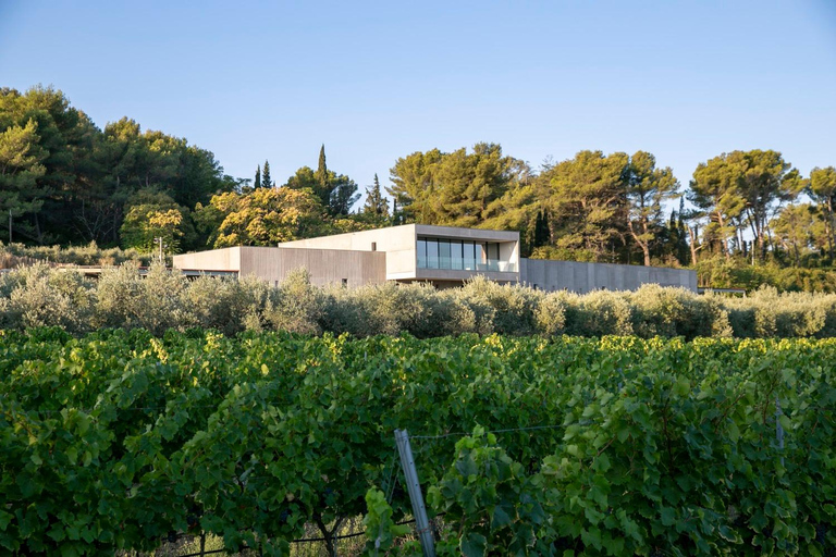 Wijn, olijfolie en schilderachtige dorpen in de Provence