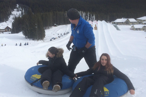 Banff &amp; Lake Louise: Pełne zabawy wycieczki z Rewild Adventures