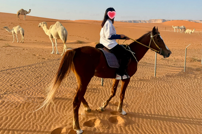 Horse Riding in Riyadh