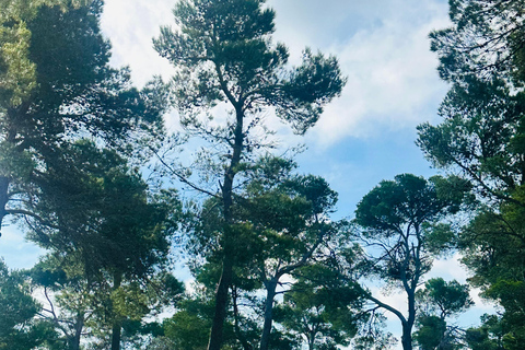 From East Mallorca: Guided Beach and Mountain Buggy Tour