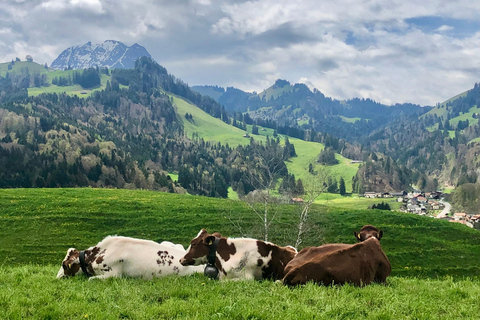 Depuis Genève : Excursion d&#039;une journée pour déguster le chocolat et le fromage de la GruyèreDepuis Genève : Excursion d&#039;une journée pour déguster du chocolat et du fromage 