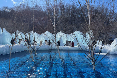 From Sapporo: Lake Shikotsu Ice Festival & Illumination Tour