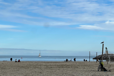 Montpellier: Seaside tour on an electric bike Montpellier: Guided Electric Bike Ride Along the Seafront
