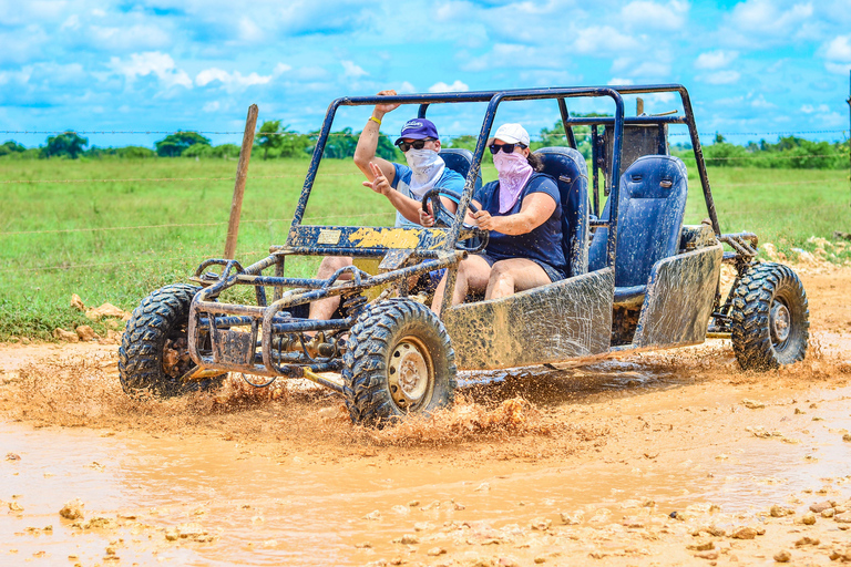 Punta Cana: Buggy med transport &amp; Cenote &amp; Macao Beach