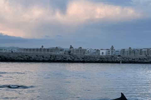 马里纳德尔雷：1小时游船之旅玛丽娜德尔雷：1小时游船之旅