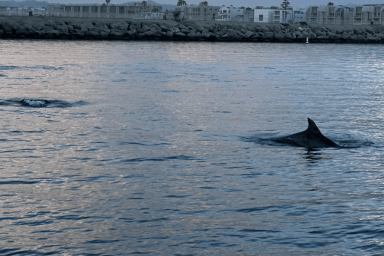 马里纳德尔雷：1小时游船之旅玛丽娜德尔雷：1小时游船之旅