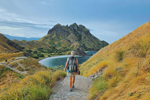 Labuan Bajo: Komodo National Park Private Speedboat Charter
