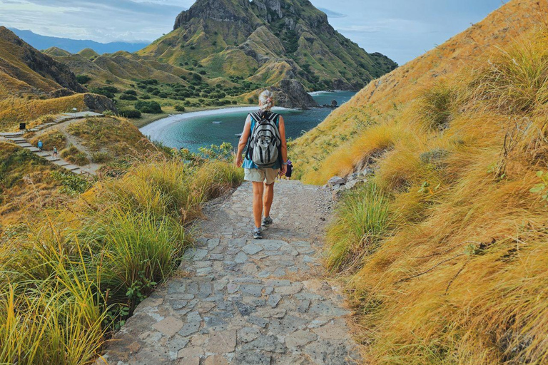 Labuan Bajo: Komodo National Park Private Speedboat Charter
