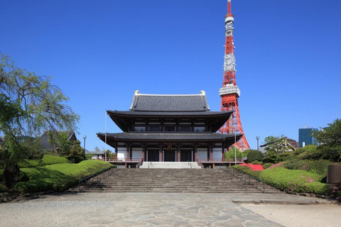 Tokyo City Customizable Guided Tour in Luxury Private Car Tokyo Custom Tour: Private Vehicle & English-Speaking (5)