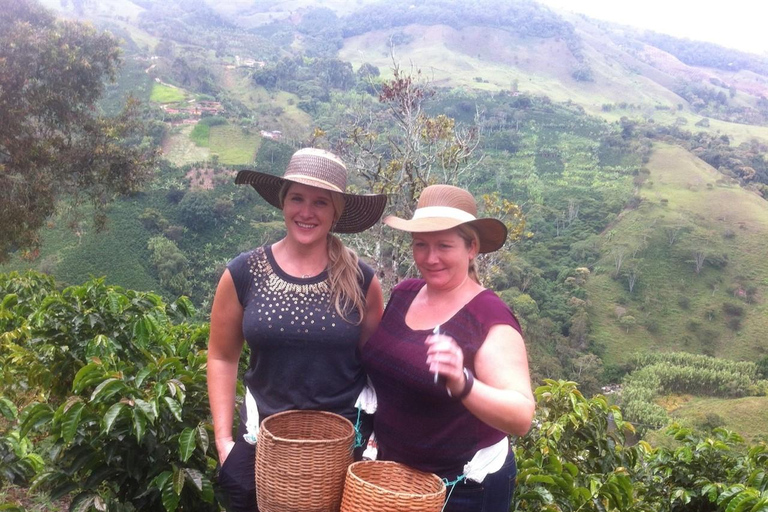 Medellin: Jardin Coffee Farm Tour