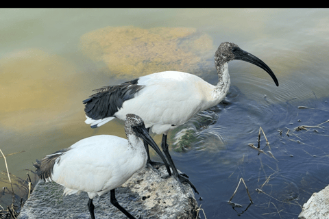 From Addis Ababa: Gambela 3-Day Tour with Flights