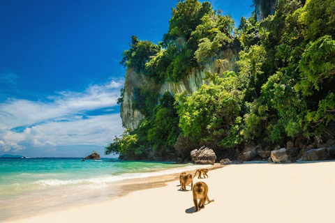 Desde Krabi: Excursión de un día a las Islas Phi Phi en barco de lujoPaquete A: Viaje privado (sin traslado al hotel ni almuerzo)