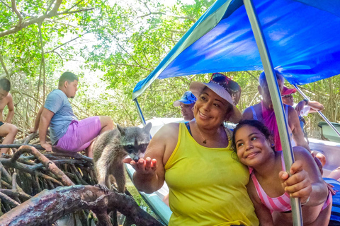 Escape from Cartagena to Isla de Baru and see the Mangroves!