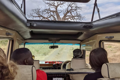 Ngorongoro krater: Dagsutflykt på safari