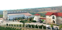 Touring en bodegas y degustación de vinos privados - Tour privada de un día - Housity