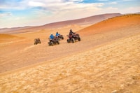ATV Adventure Ballestas Island y Paracas National Reserva - Housity