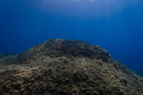 Corfu: Scuba Diving and Snorkeling from a Boat Let's go scuba diving!