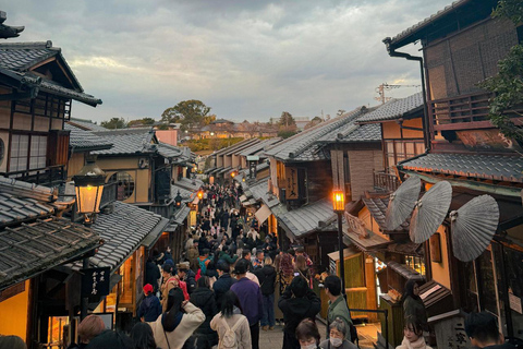 Kyoto: Private Customizable Tour with Driver and Guide